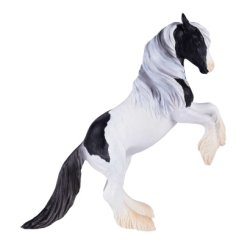 Mojo Gypsy Vanner Hingst 